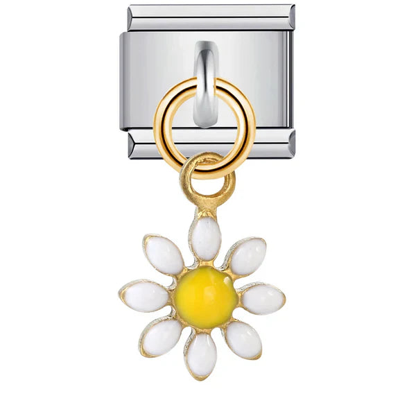 White Daisy