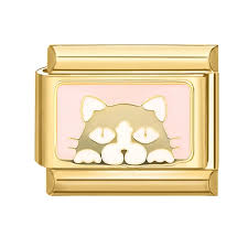 pink cat on gold